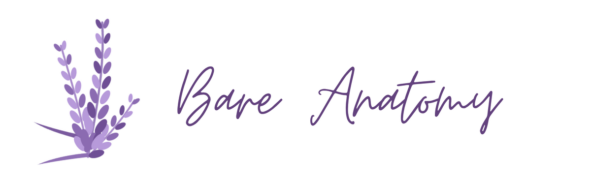 Bare Anatomy 